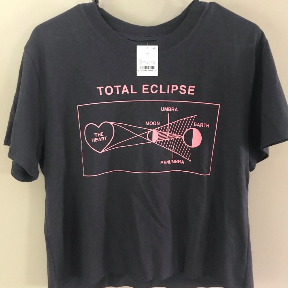 NWT “Total eclipse of the heart” gray crop tee